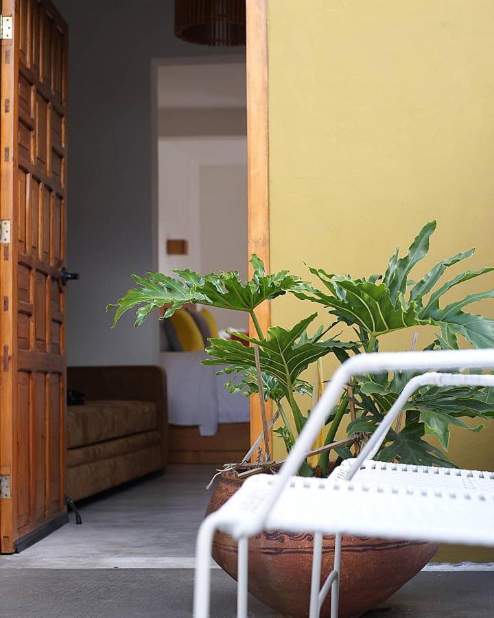 Casa Cafeologo Hotel San Cristóbal de Las Casas Екстериор снимка